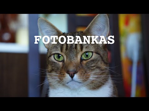 Video: Kā Pārdot Fotoattēlu Fotobankā