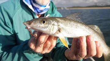 Bread & Butter Fishing  - BCF