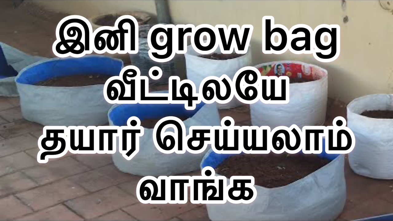 வீட்டிலேயே ஒரு ரூபாய் கூட செலவில்லாமல் grow bag தயார் செய்யலாம்| how to make grow bag at home