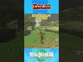 偽BLSS #ゼルダの伝説 #バグ #ティアキン