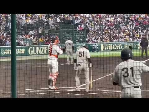 22/5/20 阪神vs巨人 中野拓夢 打席 登場曲 ベリーグッドマン 必ず何かの天才 #阪神タイガース  #ベリーグッドマン  #中野拓夢