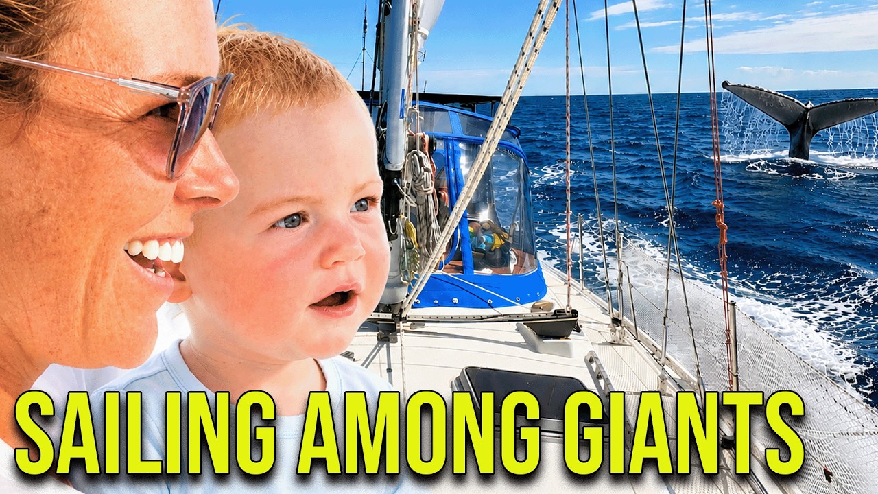 ⁣Sailing Among Giants - Episode 174