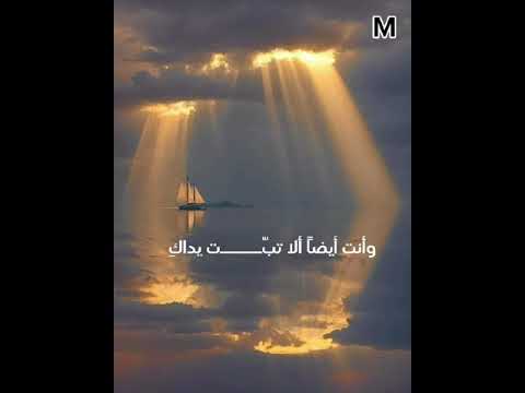 فراشة جئت ألقي كحل أجنحتي لديك فاحترقت ظلما جناحاتي