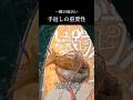 え？締めれるコイツ！？ #釣り #エギング #fishing #shorts