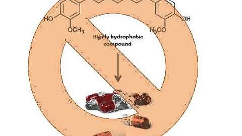Team 609 NSF I-Corps Technical Video