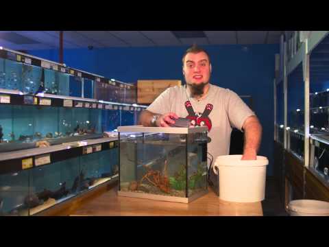 Video: How To Change The Water In A Small Aquarium