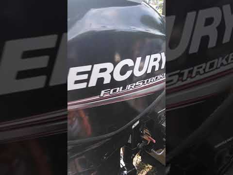 2014 mercury 25