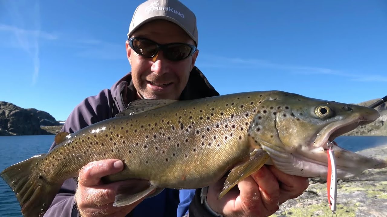 Ekstremt høyfjellsfiske! Jakten på 3 kilos ørret