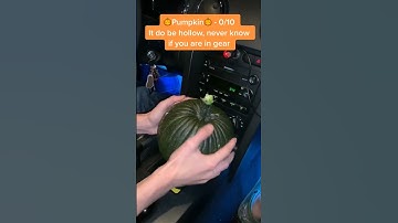 Rating Random Things as Shift Knobs pt.8