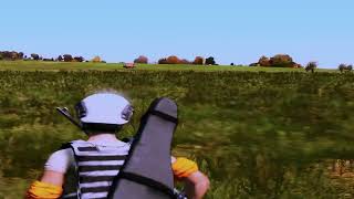 With Me  #dayz #sueta