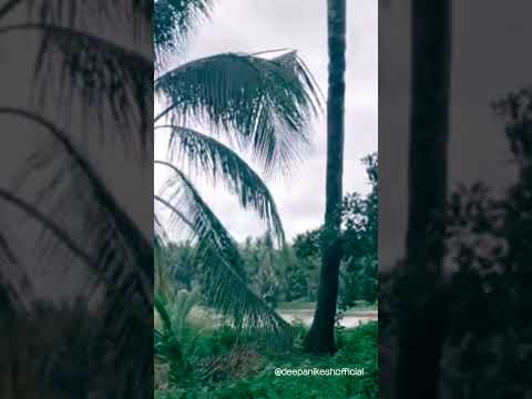 kanmanipoove #deepanikesh  #kannodu #kadhalkalyanam #song #malayalammusic #indianmusic #musicreels