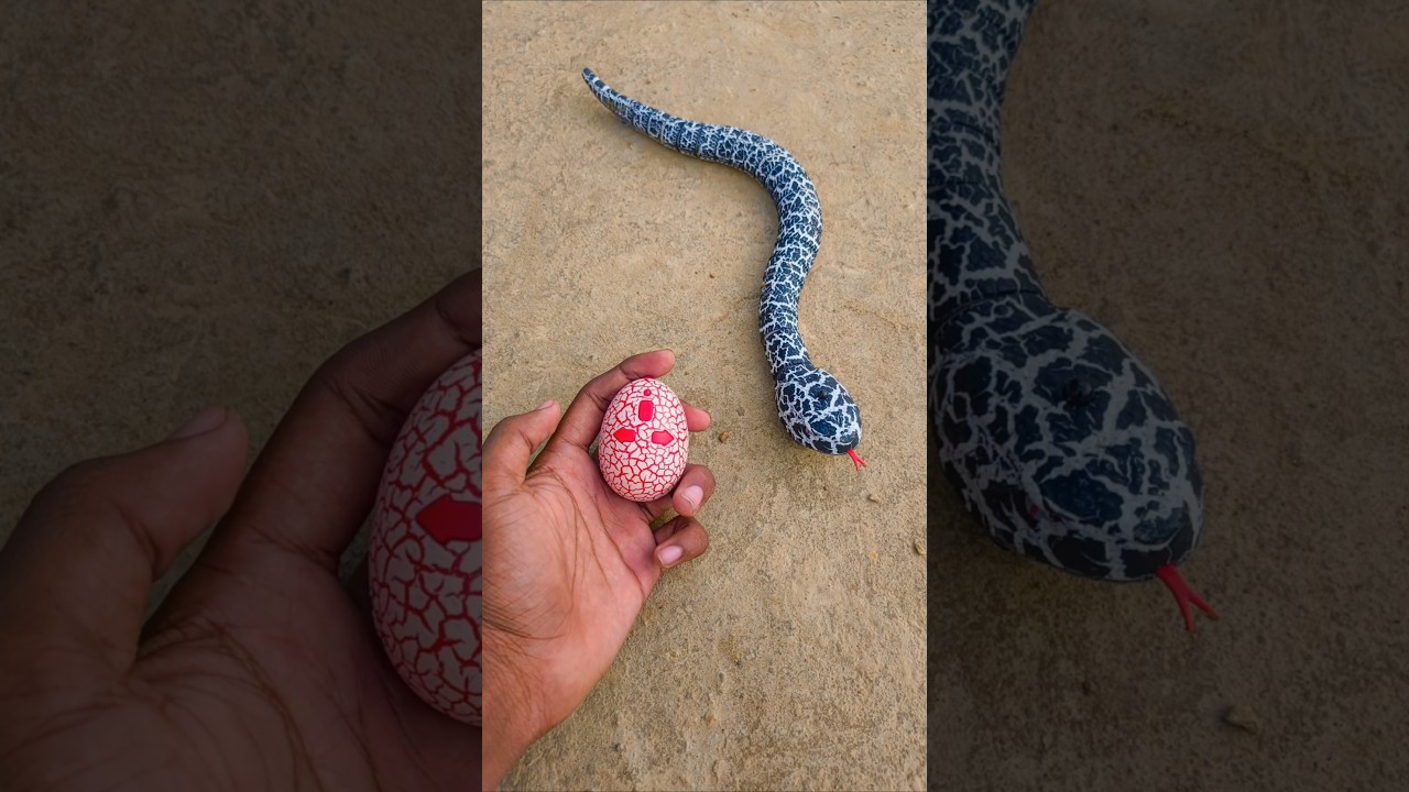 «Невероятный тест радиоуправляемой змеи 😱 | Выглядит как настоящая!» 