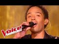 Aretha Franklin - Think | Stéphan Rizon | The Voice France 2012 | Finale