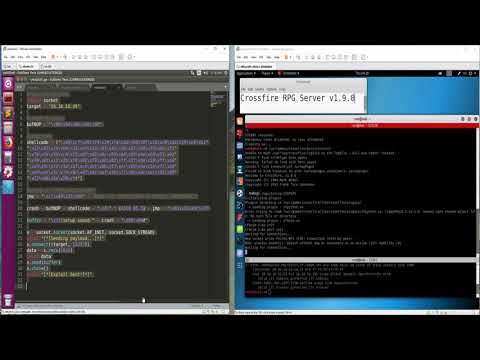Hacking linux with a buffer overflow vulnerability