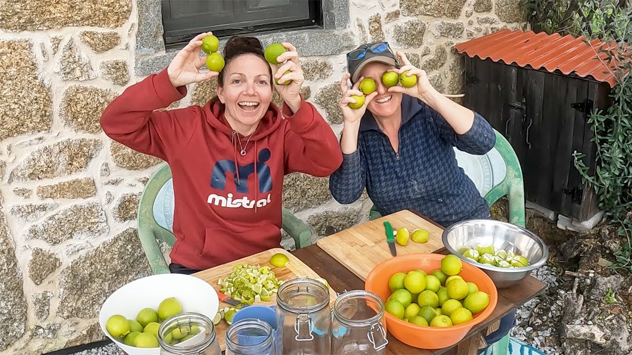 LIFE OFF GRID IN CENTRAL PORTUGAL WITH GREAT FRIENDS & AN AMAZING COMMUNITY