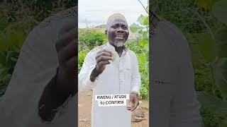AWENU ATUDE TODAJU 