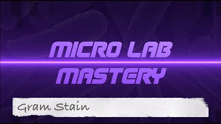 Lab 9) Gram Stain