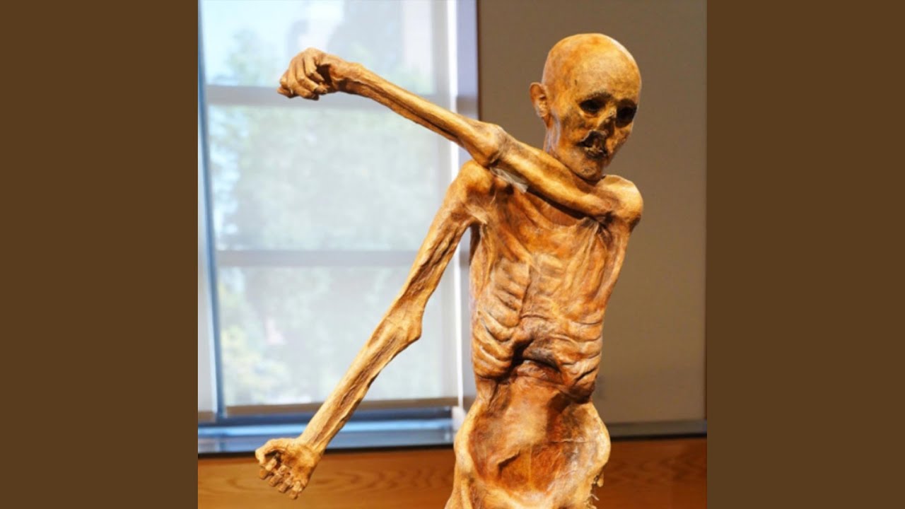 cryn in the trap (feat. handweep & glowtype)