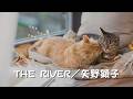 【みんなのうた】THE RIVER/矢野顕子 2026年6〜7月号掲載
