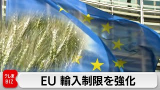 EU ウクライナ農産品対象に輸入制限を強化（2024年4月9日）