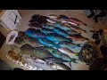 【魚突き】奄美大島 夜の素潜り漁 2020年6月14日