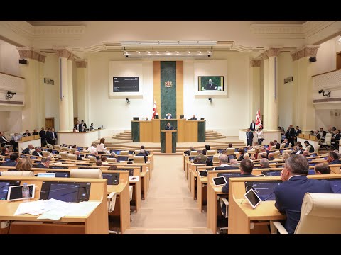 დეპუტატების შეკითხვები - საქართველოს პრემიერ-მინისტრის მოხსენების შემდეგ