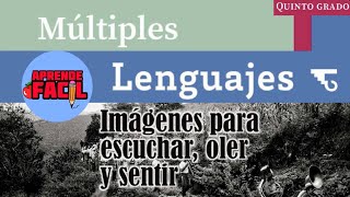 Imagenes para escuchar oler y sentir Multiples lenguajes 5to grado Audiolibro Nu