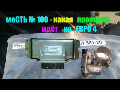 меСТЬ № 100 -   проводка движка УМЗ-4216 ЕВРО-4 /какая проводка идёт на 4216 евро 4