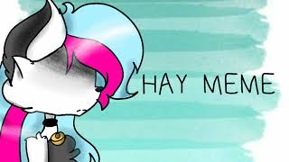 HAY MEME (flipaclip)
