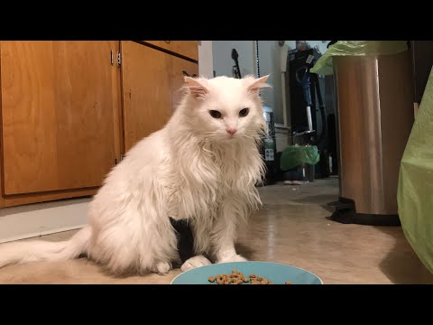 Guess who’s eating?