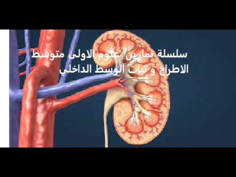 (علوم الاولى متوسط سلسلة التمارين درس الاطراح وثبات الوسط الداخلي عند الانسان( جزء 2