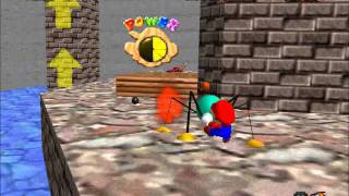 SM64 Super Skeeter
