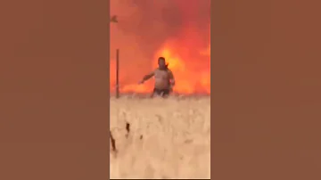 Видео испанца, убегающего от лесного пожара, облетело весь мир.