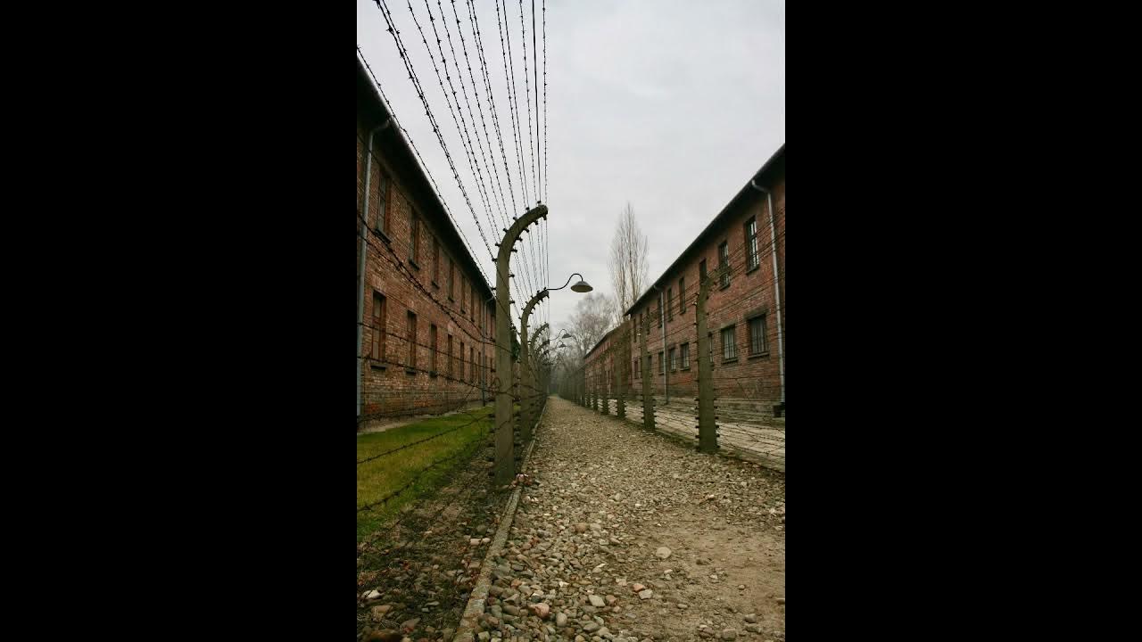 Prison Sound Download Free Gaming Sound Effects and Music YouTube