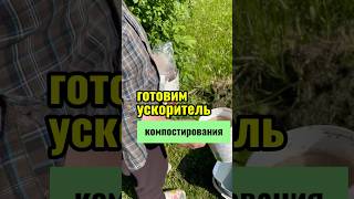 Ускоряем разложение компоста