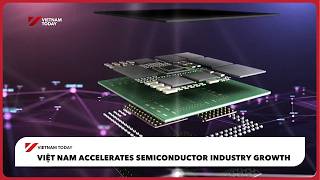 Việt Nam accelerates semiconductor industry growth | Vietnam Today