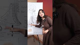 Laptop = Less Testosterone? 😳