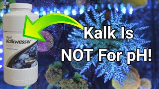 Kalkwasser Is NOT For pH (You're Using It Wrong) by Reef Dork 8,499 views 8 months ago 5 minutes, 22 seconds