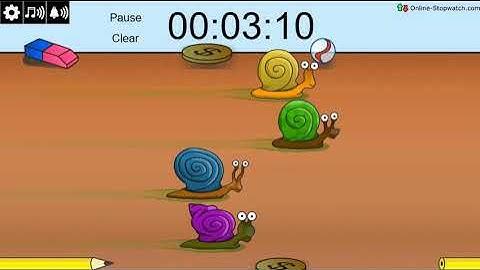 5 Minute Snail Racing Timer (fast)