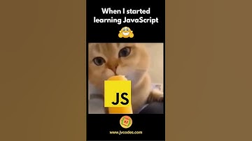 When I started learning JavaScript #shorts