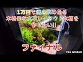 No.037【1万円チャレンジ】第7回　ファイナル