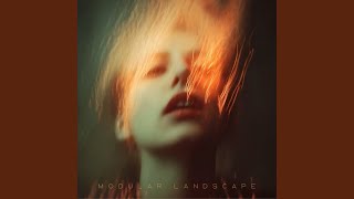 Modular Landscape