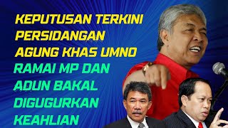 PINDAAN PERLEMBAGAAN UMNO::: RAMAI MP BERISIKO DIGUGURKAN KEAHLIAN DALAM UMNO