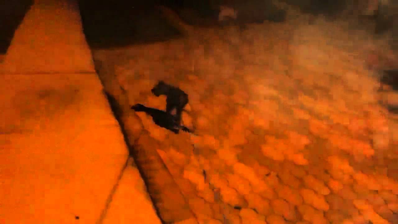 Dog and owner get hit by a car - YouTube
