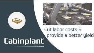 Cabinplant  Spring Rolls Production