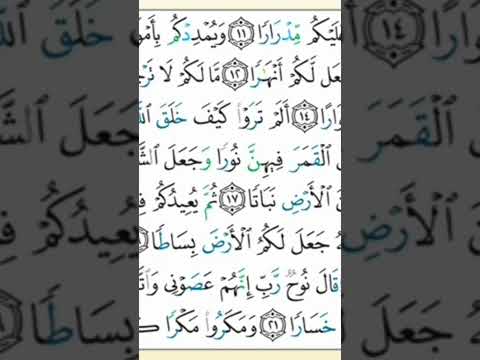 اللهم اجعل القرآن العظيم ربيع قلوبنا ونور صدري وجلاء همي وذهاب حزني يارب العالمين