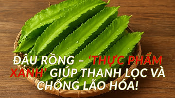 Đậu rồng – ‘siêu thực phẩm xanh’ giúp thanh lọc và chống lão hóa!