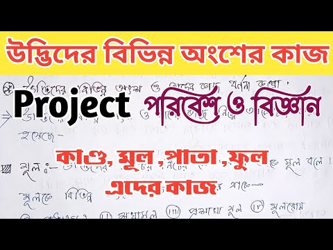 ভিডিও: প্রশ্ন উঠল: 