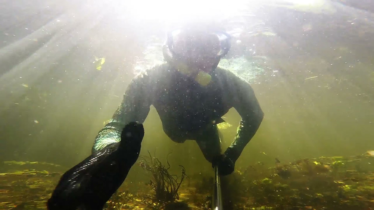 Spływ Rzeką Piaśnica /snurkowanie / freediving 2020