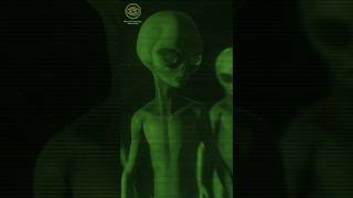 Ananas Aslında Uzaylı Teknolojisi Mikrokomplo